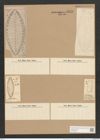 Surirella amphiamblya Ehr. (de-Toni-Nr.: Genus 53, Species 2219) Zeichnungen Sammlung Grunow Nr. 4638 (NHMW-BOT-W0372693)